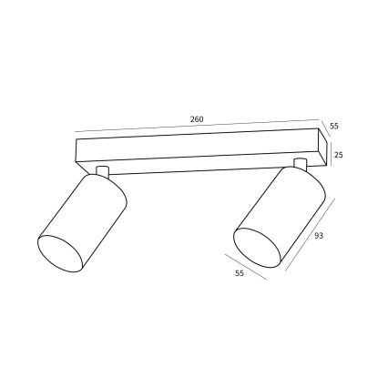 Immax NEO 07263Z - LED RGB+CCT himmennettävä kohdevalaisin NEO PUNTO 2xGU10/4,8W/230V Tuya