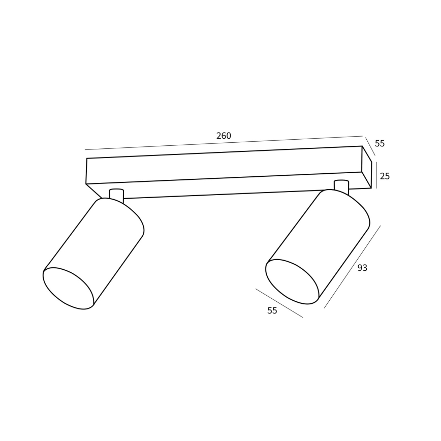 Immax NEO 07263Z - LED RGB+CCT himmennettävä kohdevalaisin NEO PUNTO 2xGU10/4,8W/230V Tuya