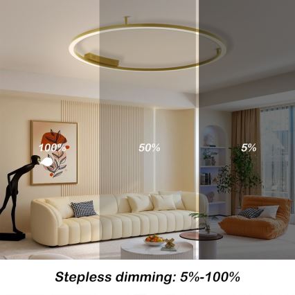 Immax NEO 07290-120G - LED+CCT himmennettävä kattovalaisin FINO LED/55W/230V 2700-6500K Tuya halkaisija 120 cm + kaukosäädin