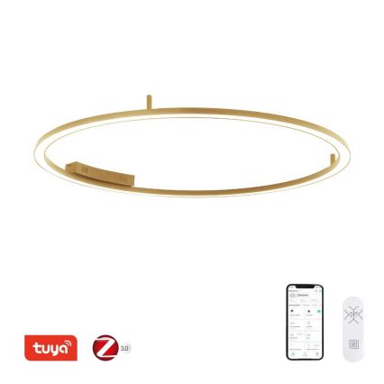 Immax NEO 07290-120G - LED+CCT himmennettävä kattovalaisin FINO LED/55W/230V 2700-6500K Tuya halkaisija 120 cm + kaukosäädin