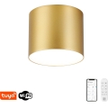 Immax NEO 07317L - himmennettävä LED-kattovalaisin RONDATE, 18 W / 230 V, halkaisija 11,5 cm, Wi‑Fi Tuya, kullanvärinen