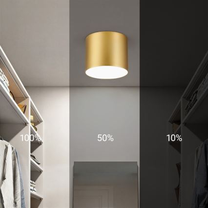 Immax NEO 07317L - LED himmennettävä kattovalaisin RONDATE LED/18W/230V halkaisija 11,5 cm Wi-Fi Tuya kullanvärinen