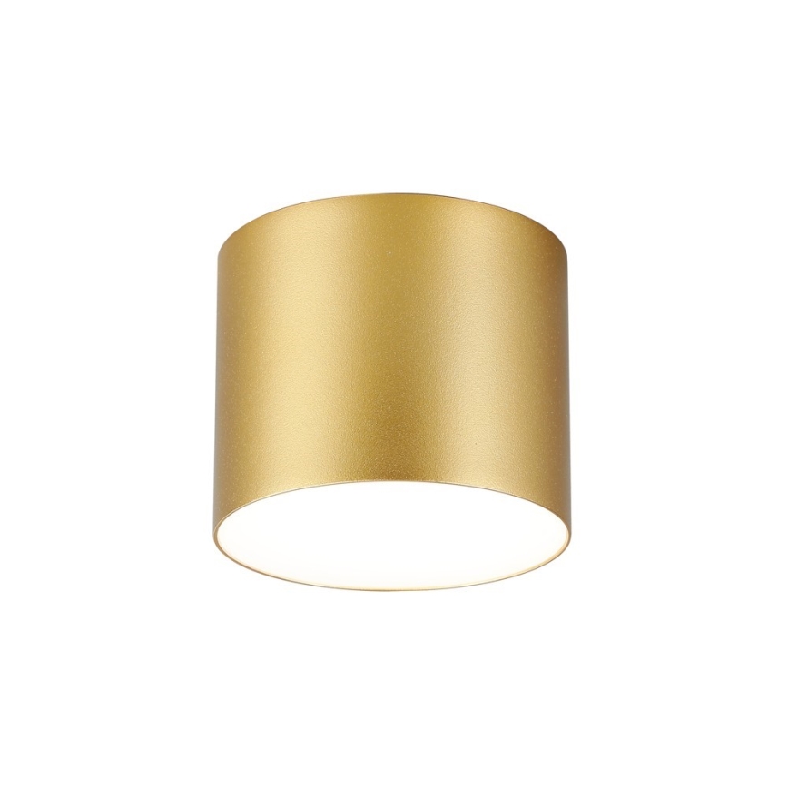 Immax NEO 07317L - LED himmennettävä kattovalaisin RONDATE LED/18W/230V halkaisija 11,5 cm Wi-Fi Tuya kullanvärinen