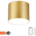 Immax NEO 07318L - LED-himmennettävä kattovalaisin RONDATE LED/32W/230V, halkaisija 16,5 cm, Wi‑Fi Tuya, kultainen