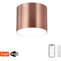 Immax NEO 07319L - LED-himmennettävä kattovalaisin RONDATE LED/18W/230V halkaisija 11,5 cm Wi-Fi Tuya ruusukulta