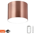Immax NEO 07320L - himmennettävä LED-kattovalaisin RONDATE LED/32W/230V halkaisija 16,5 cm Wi-Fi Tuya ruusukulta