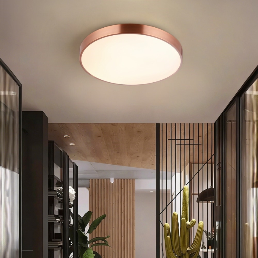 Immax NEO 07321L - Himmennettävä LED-kattovalaisin NEO LITE SEMPLICI LED/36W/230V halkaisija 40 cm kuparinvärinen + kaukosäädin