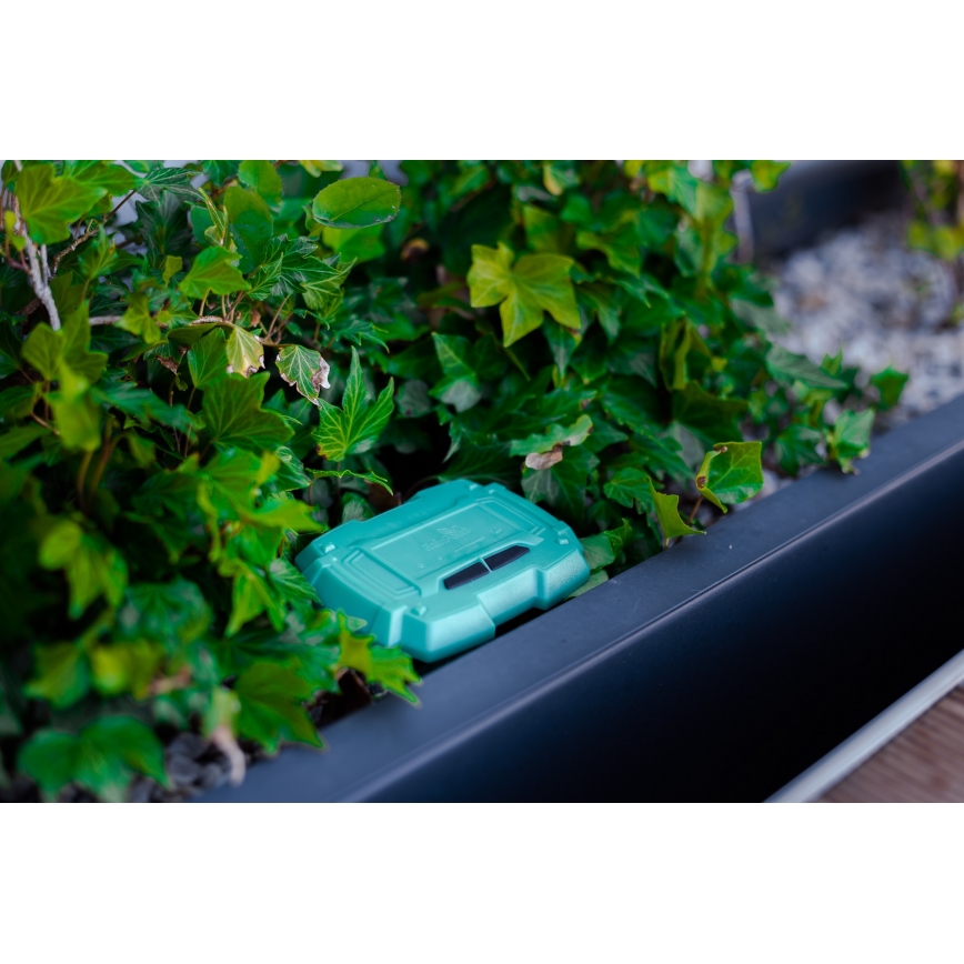 Immax NEO 07509L - Maaperän kosteus- ja lämpötila-anturi NEO LITE Wi-Fi 3xAAA IP65