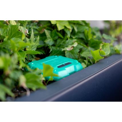 Immax NEO 07509L - Maaperän kosteus- ja lämpötila-anturi NEO LITE Wi-Fi 3xAAA IP65