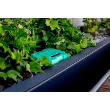 Immax NEO 07509L - Maaperän kosteus- ja lämpötila-anturi NEO LITE Wi-Fi 3xAAA IP65