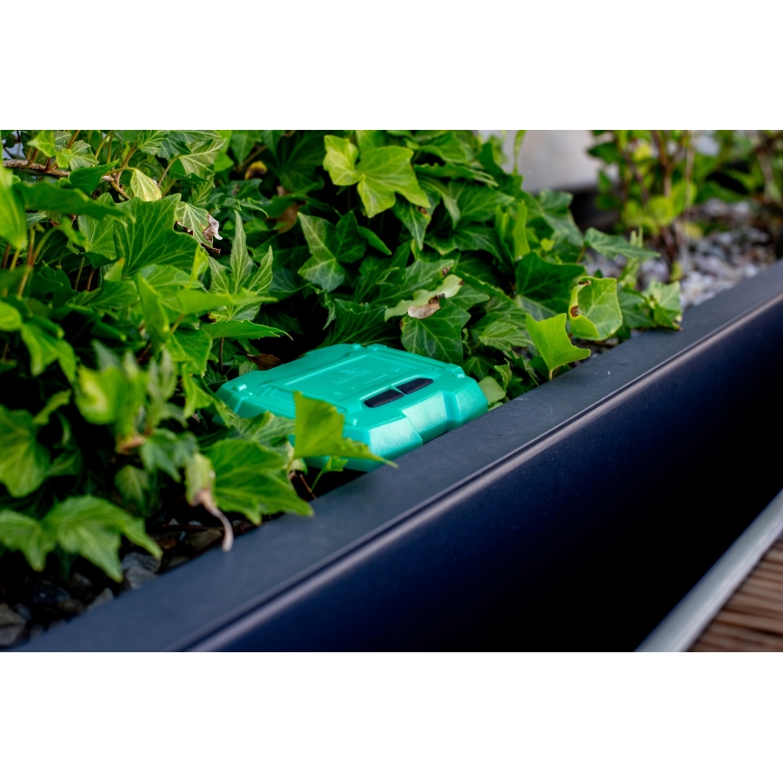 Immax NEO 07509L - Maaperän kosteus- ja lämpötila-anturi NEO LITE Wi-Fi 3xAAA IP65