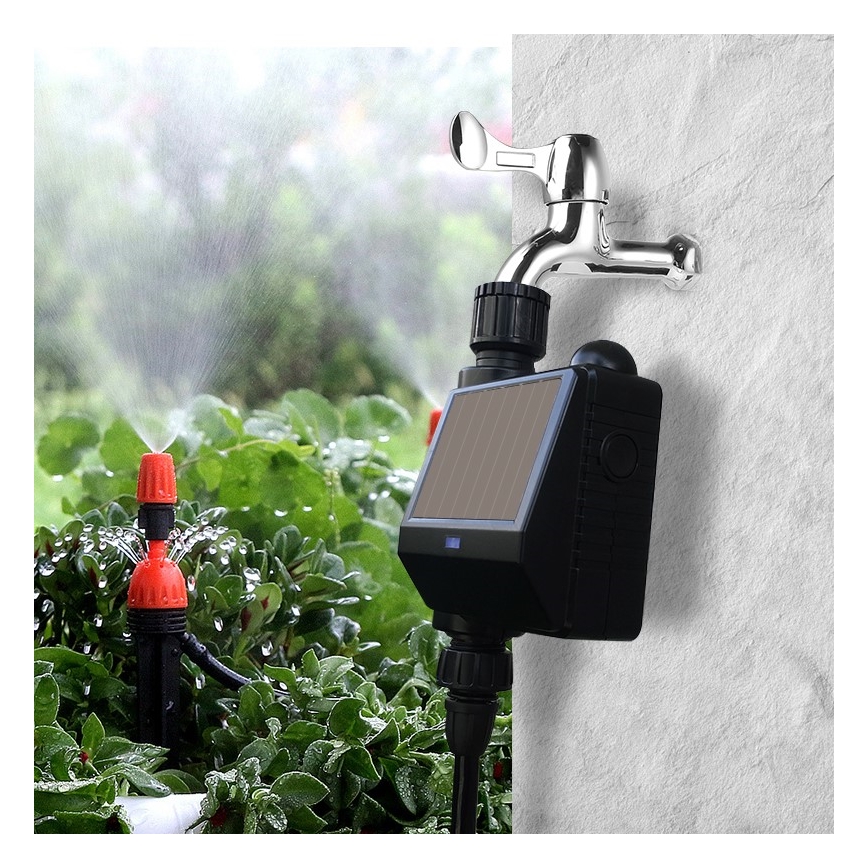 Immax NEO 07524L - Kastelupää aurinkopaneelilla 2xAA IP65 Tuya