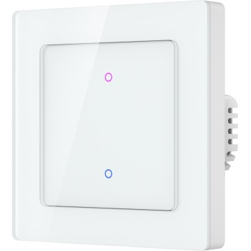 Immax NEO 07550L - 2-painikkeinen älykytkin 230V