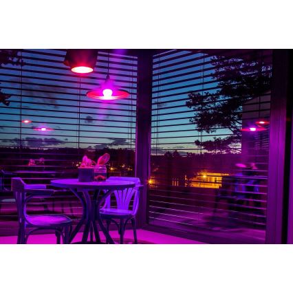 Immax NEO 07733C - SETTI 3x LED RGB+CCT Himmennettävä lamppu NEO LITE E27/11W/230V 2700 - 6500K Wi-Fi Tuya