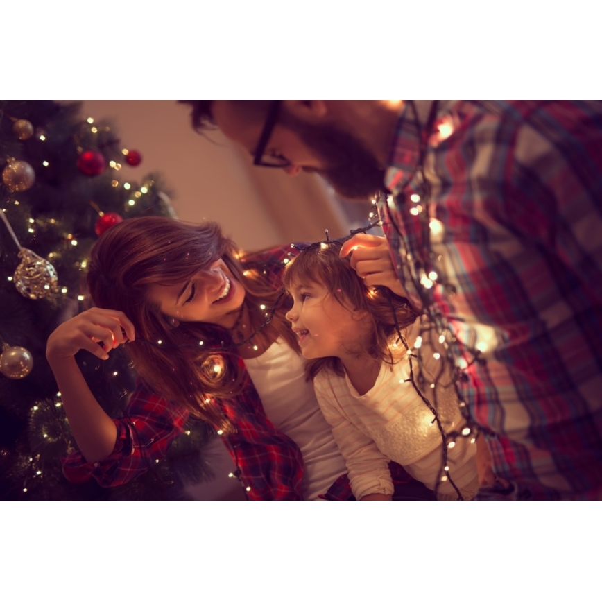 Immax NEO 07756L - LED-himmennettävä ulkovaloketju NEO LITE 400xLED/10 toimintoa 43m IP44 Wi-Fi Tuya monivärinen