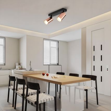Immax NEO 08302L - PUNTO-kohdevalaisin 2xGU10/9W/230V ruusukultainen