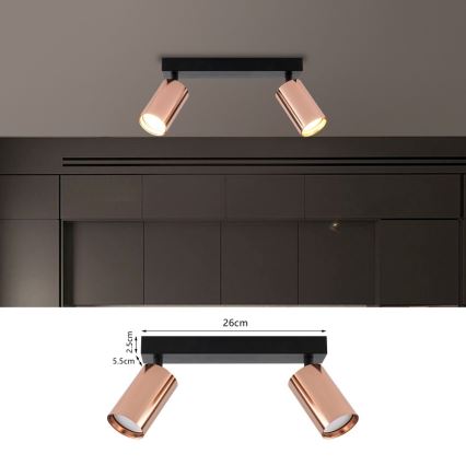 Immax NEO 08302L - PUNTO-kohdevalaisin 2xGU10/9W/230V ruusukultainen