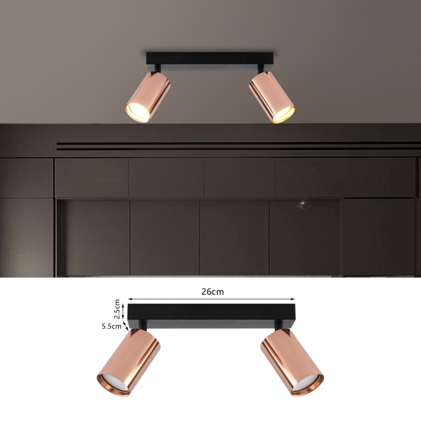 Immax NEO 08302L - PUNTO-kohdevalaisin 2xGU10/9W/230V ruusukultainen