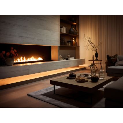 InFire - Sisäänrakennettu BIO takka 7,5x120 cm 7kW musta