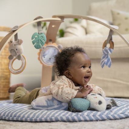 Ingenuity - Lasten leikkimatto ELEPHANT MARCH