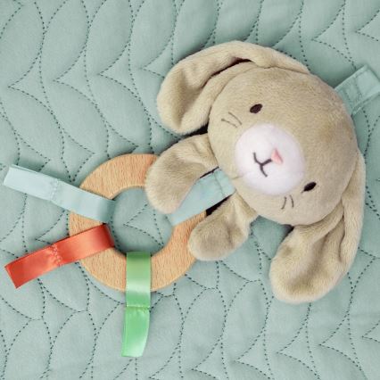 Ingenuity - Lasten peitto leikkimiseen CALM SPRINGS