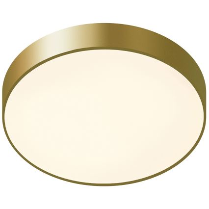 ITALUX - LED-kattovalaisin ORBITAL LED/30W/230V 3000K kulta