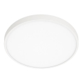 ITALUX - LED-kattovalaisin RIBERIO LED/30W/230V 3000K valkoinen