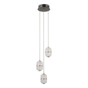 ITALUX - LED-riippuvalaisin kaapelilla ALANI 3×LED/5 W/230 V 3000 K musta/kultainen
