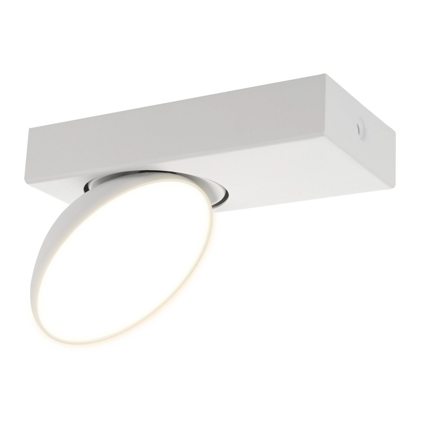 ITALUX - LED-kohdevalaisin CASTELIO LED/5W/230V 4000K valkoinen