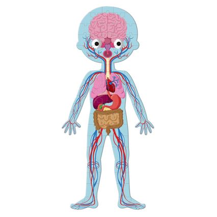 Janod - Lasten opetuksellinen palapeli 225 pcs ihmiskeho