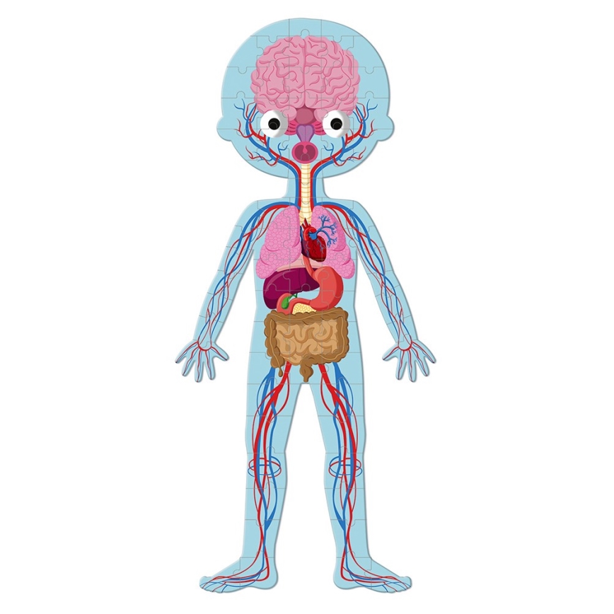 Janod - Lasten opetuksellinen palapeli 225 pcs ihmiskeho