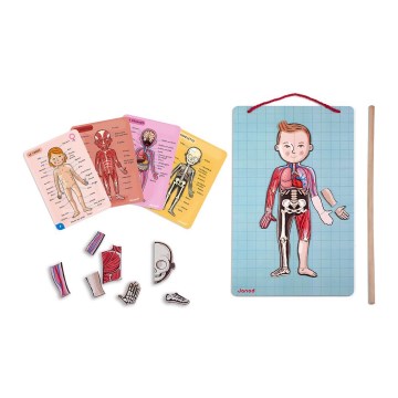 Janod - Magneettinen palapeli BODYMAGNET ihmiskeho