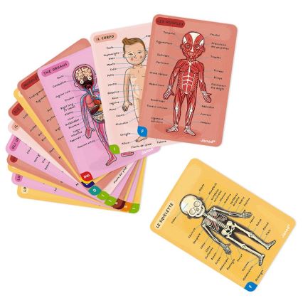 Janod - Magneettinen palapeli BODYMAGNET ihmiskeho