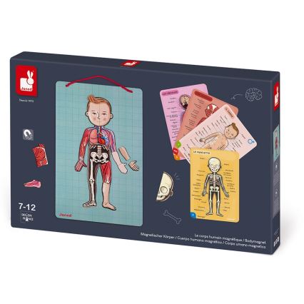 Janod - Magneettinen palapeli BODYMAGNET ihmiskeho