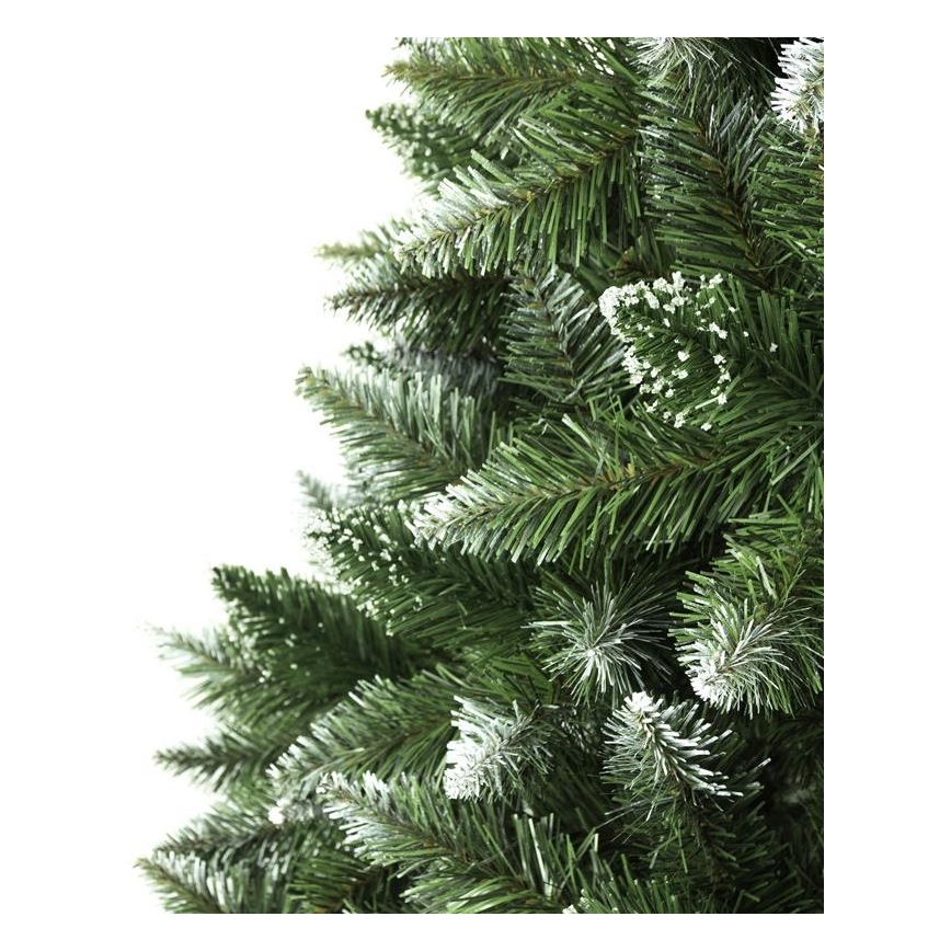 Joulukuusi 150 cm, hopeakuusi