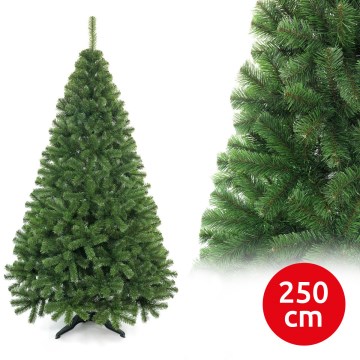 Joulukuusi 250 cm, hopeakuusi