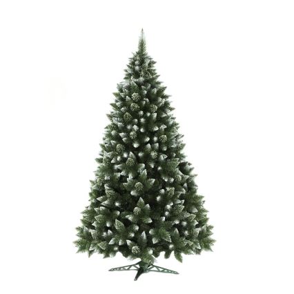 Joulukuusi 250 cm mänty