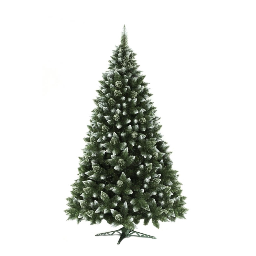 Joulukuusi 250 cm mänty