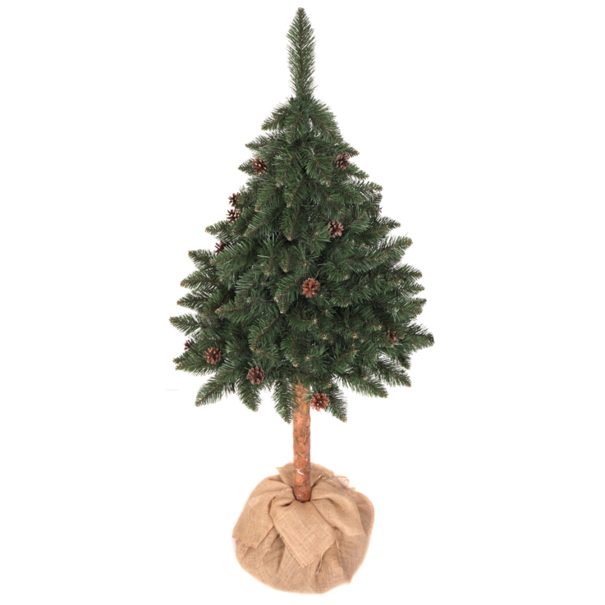 joulukuusi PIN 180 cm jalokuusi