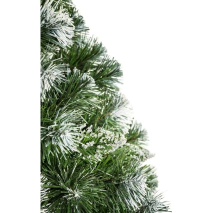 Joulukuusi rungolla 180 cm mänty