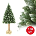 Joulukuusi rungolla 180 cm mänty