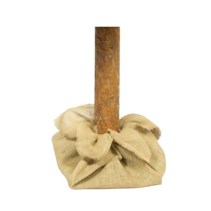 Joulukuusi rungolla 180 cm mänty