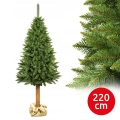 Joulukuusi rungolla 220 cm, kuusi