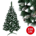 joulukuusi TAL 220 cm mänty