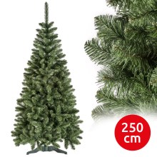 Joulupuu POLA 250 cm mänty