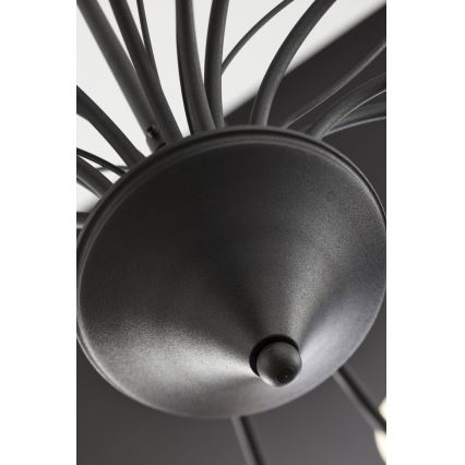 Jupiter 2057 - GLORIOSA kattokruunu ketjulla 15xG9/14W/230V, musta