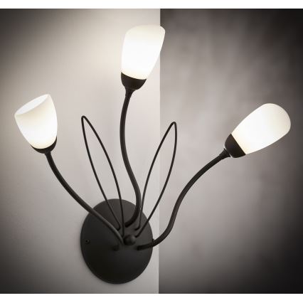 Jupiter 2059 - Seinävalaisin GLORIOSA 3xG9/14W/230V musta