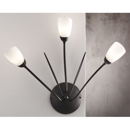 Jupiter 2059 - Seinävalaisin GLORIOSA 3xG9/14W/230V musta