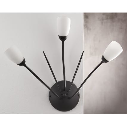 Jupiter 2059 - Seinävalaisin GLORIOSA 3xG9/14W/230V musta