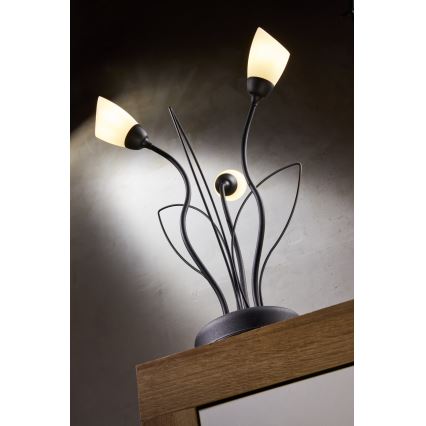 Jupiter 2065 - Pöytävalaisin GLORIOSA 3xG9/14W/230V musta